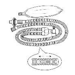 Adult Expandable Circuits