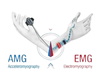 B170450 ARMS removebg preview